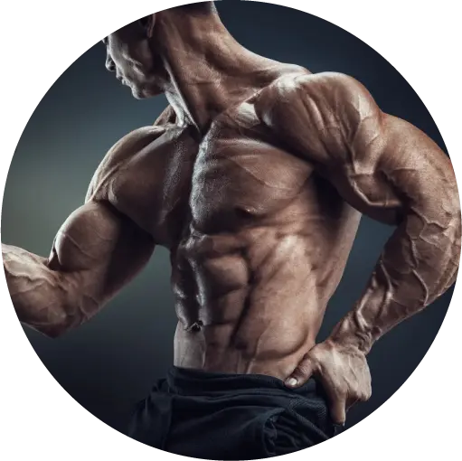 Peptide & Injectable Therapy 11 Muscularly toned man